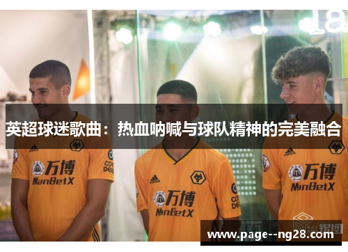 英超球迷歌曲:热血呐喊与球队精神的完美融合 英超球迷歌曲:热血呐喊与球队精神的完美融合