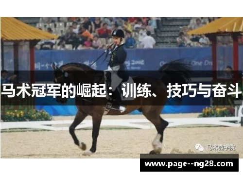 马术冠军的崛起：训练、技巧与奋斗