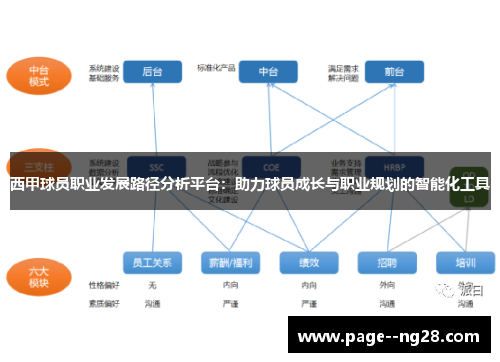 西甲球员职业发展路径分析平台：助力球员成长与职业规划的智能化工具