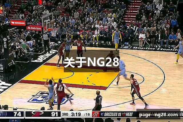 关于NG28